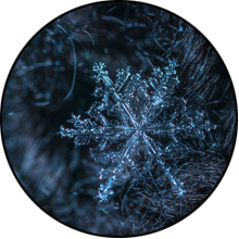 220x220 neige